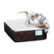 Colchón para Perro Somnus Puppy - Colchones