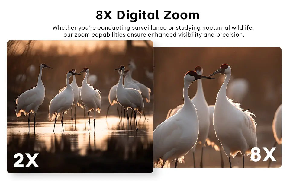 Comparación de Zoom de aves en binoculares digitales con pantalla LCD y zoom óptico
