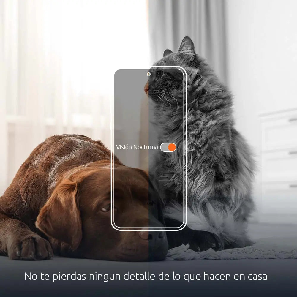 Dispensador Inteligente de Alimento con Cámara para Mascotas Nexxt (NHA-P610)