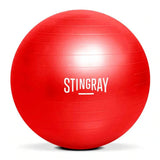 Pelota de Ejercicios 65 cm Roja Stingray (SFPEL-65CM-R)