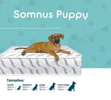 Colchón para Perro Somnus Puppy yapcr.com Costa Rica