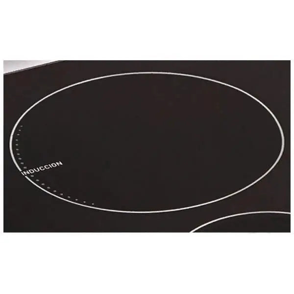 Cocina Eléctrica de Inducción 24’’ Ecoline (Ivanna Acero) + Regalía Juego Ollas Monix 6 Piezas - Cocinas