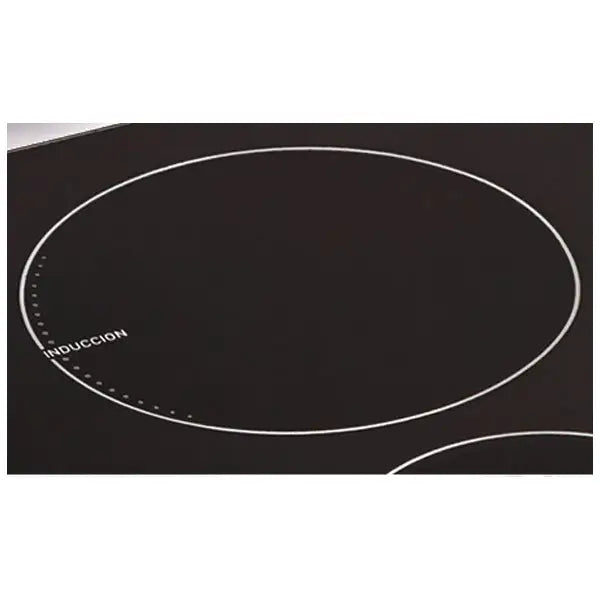 Cocina Eléctrica de Inducción 30’’ Ecoline (Elisa Acero) + Regalía Juego Ollas Monix 7 Piezas - Cocinas