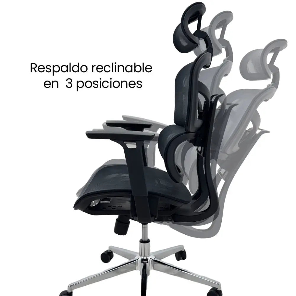 Silla de Escritorio Ergonómica Ejecutiva Negra Tokoa (OS-2197) - Sillas